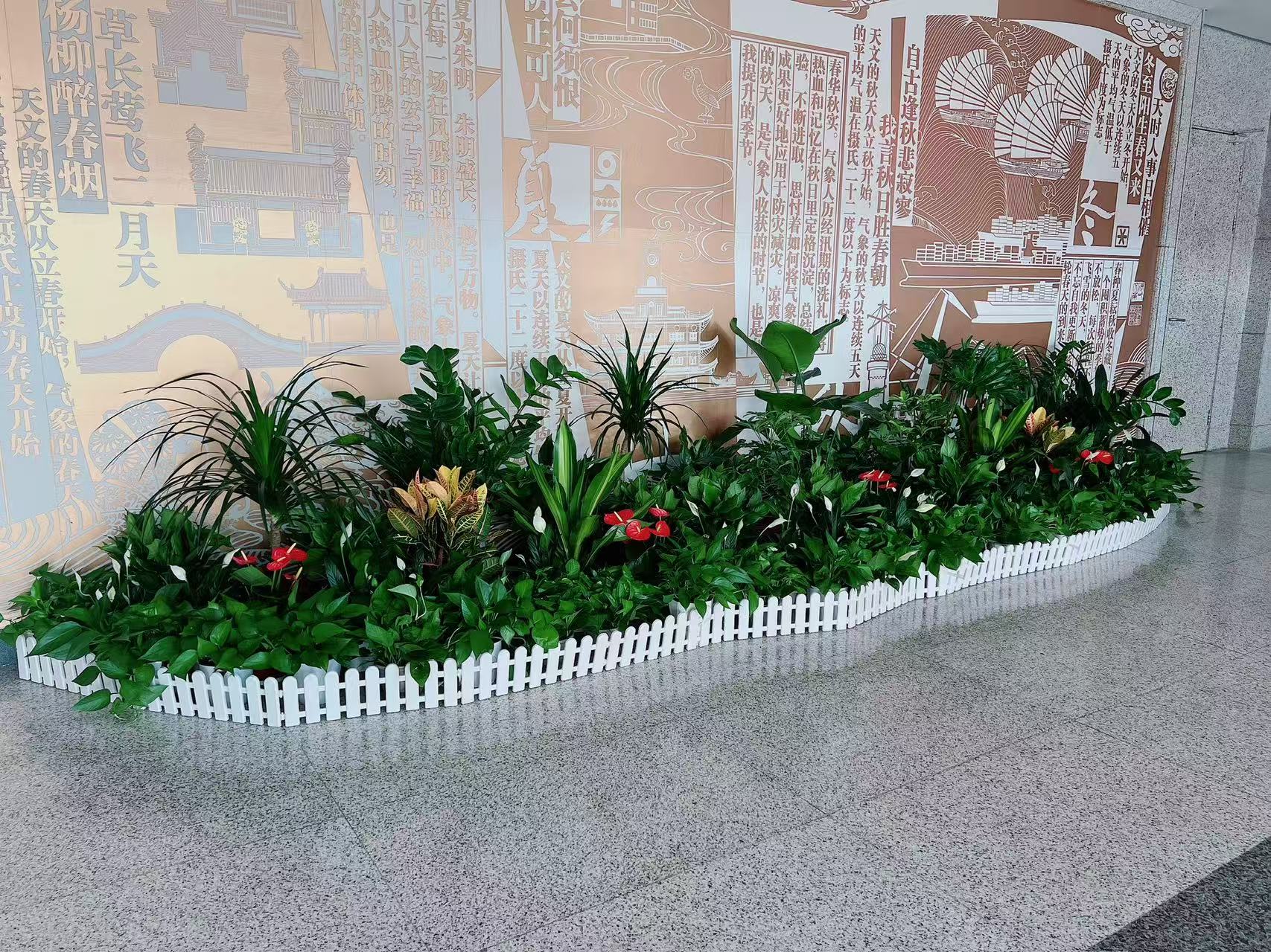 快来租宁波奉化盆景，让空间焕发自然魅力